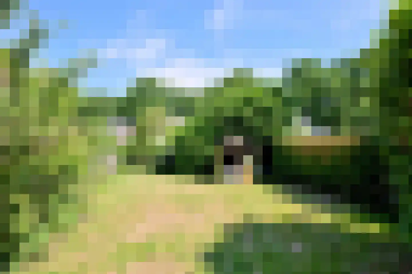 Oude Eerbeekseweg 6 Brummen thumbnail 41