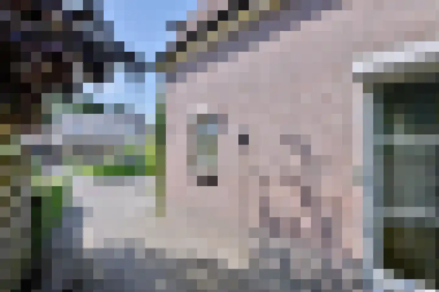Oude Eerbeekseweg 6 Brummen thumbnail 44