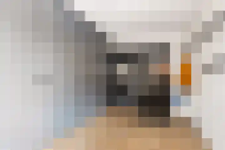 Oude Eibergseweg 1 c Neede thumbnail 20