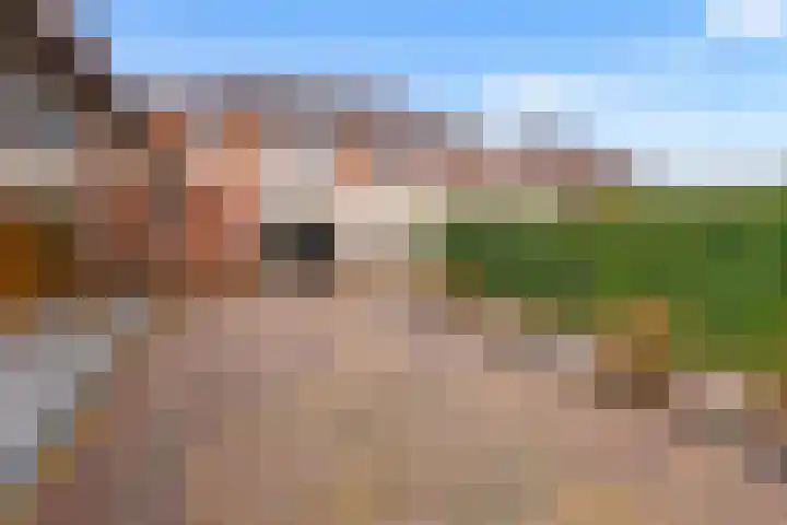 Oude Eibergseweg 1 c Neede thumbnail 53