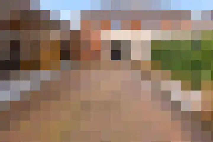 Oude Eibergseweg 1 c Neede thumbnail 54