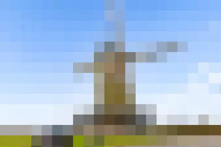 Oude Eibergseweg 1 c Neede thumbnail 64