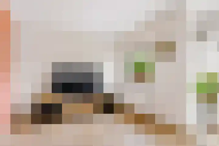 Oude Eibergseweg 1 c Neede thumbnail 9