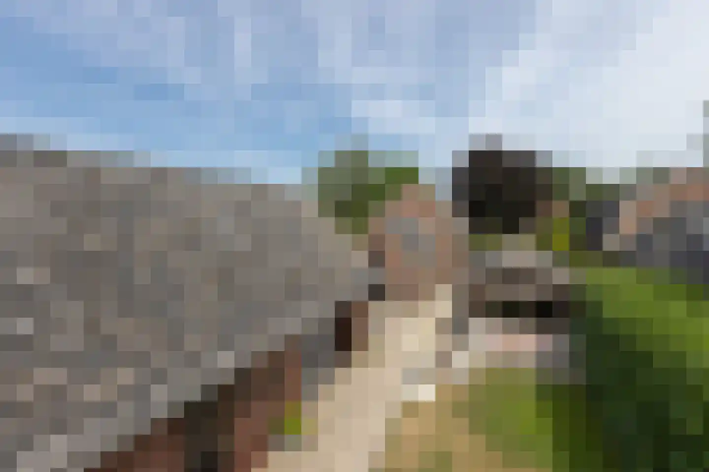 Oude Eibergseweg 6 Neede thumbnail 32