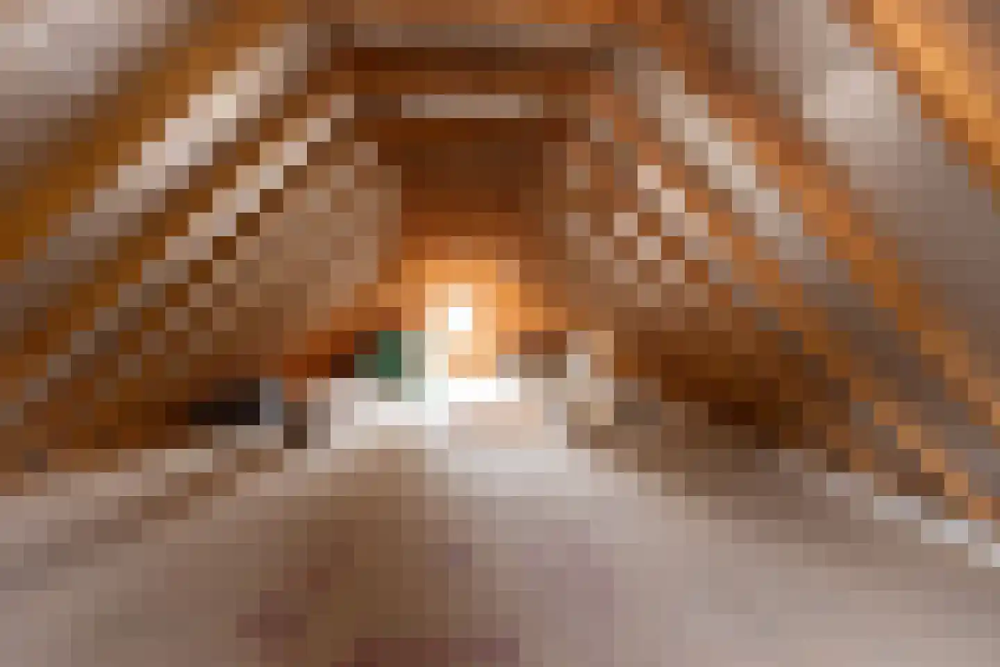 Oude Eibergseweg 6 Neede thumbnail 37