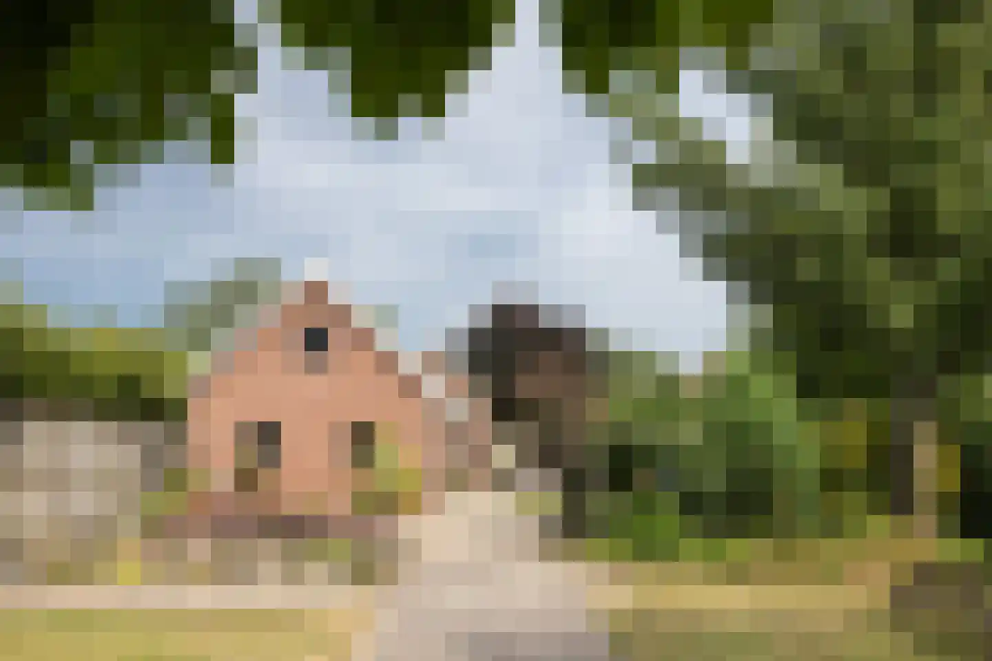 Oude Eibergseweg 6 Neede thumbnail 42