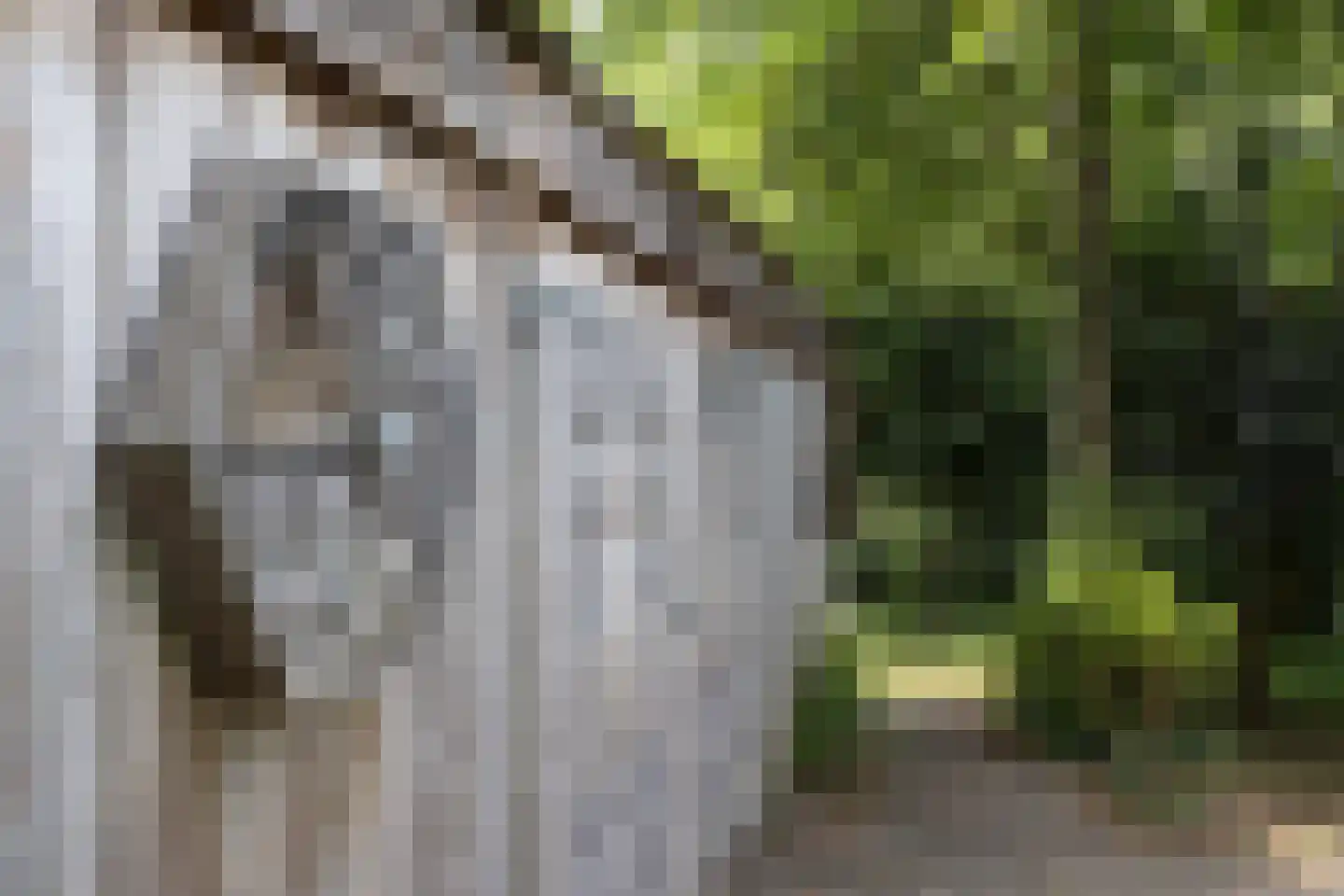 Oude Eibergseweg 6 Neede thumbnail 46
