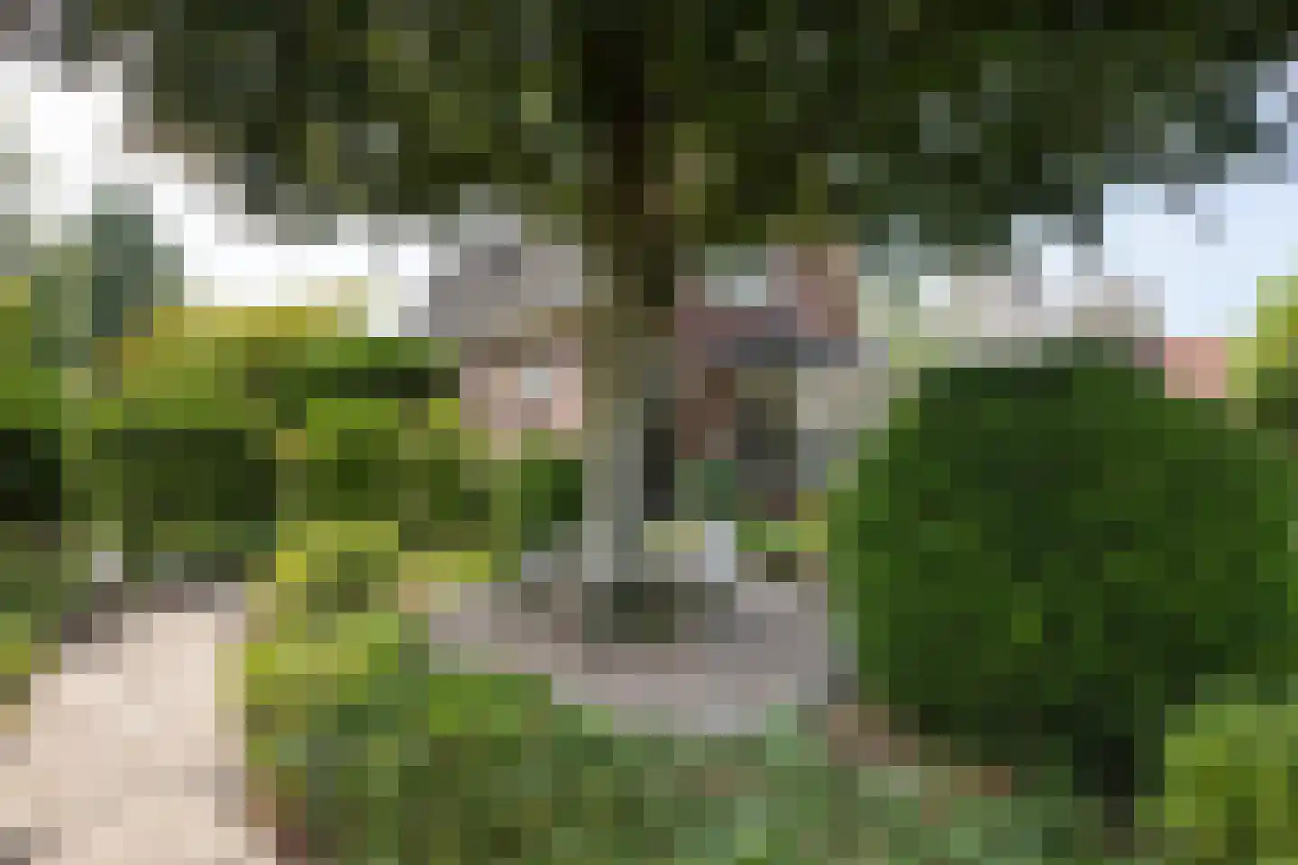 Oude Eibergseweg 6 Neede thumbnail 52