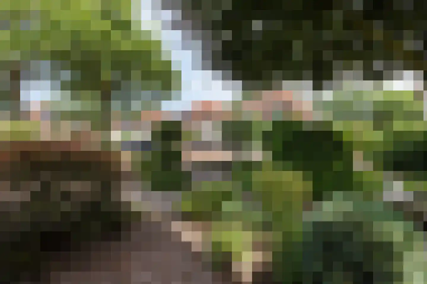 Oude Eibergseweg 6 Neede thumbnail 54