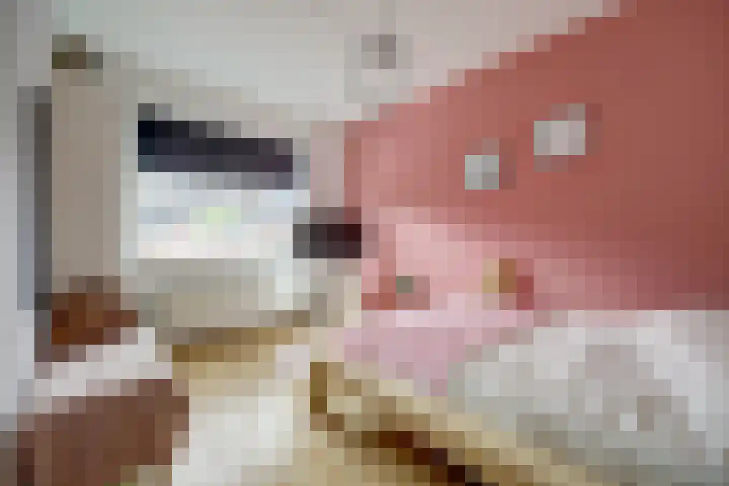 Oude El 10 Soest thumbnail 25