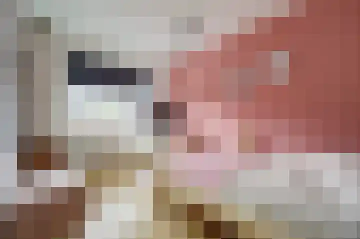 Oude El 10 Soest thumbnail 25