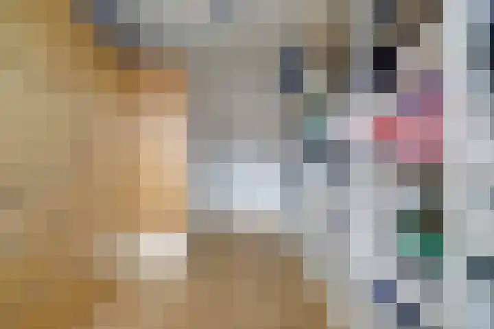 Oude El 10 Soest thumbnail 27