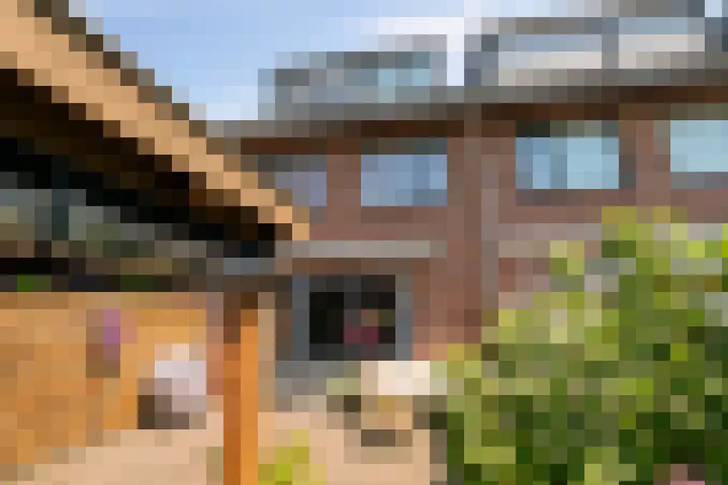 Oude El 7 Soest thumbnail 35