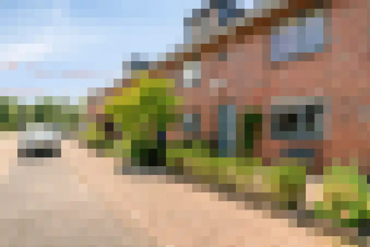 Oude El 7 Soest thumbnail 38