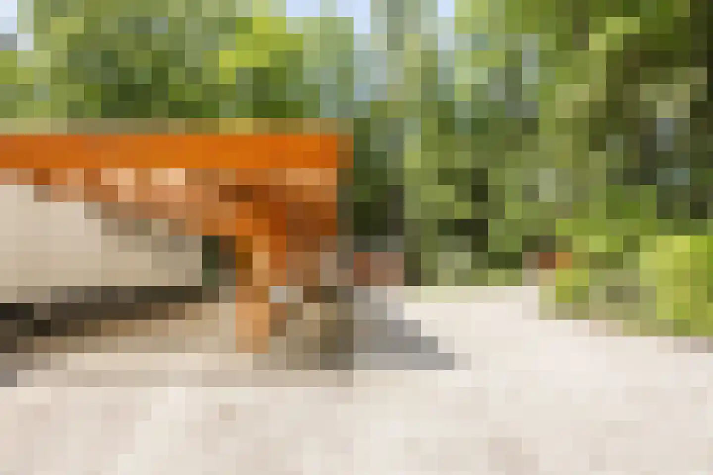 Oude Elburgerweg 1 Epe thumbnail 11