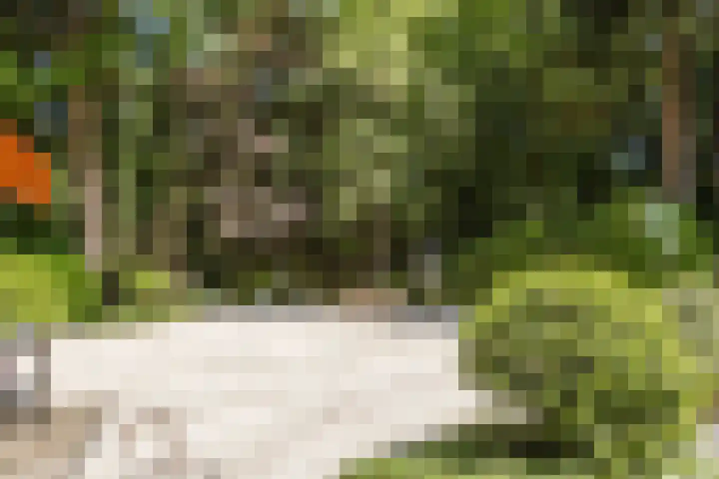Oude Elburgerweg 1 Epe thumbnail 13