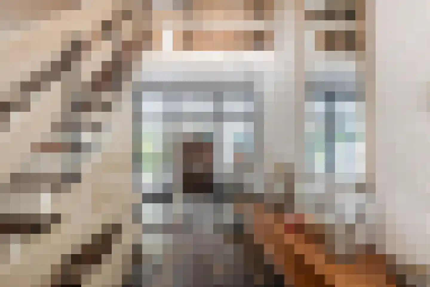 Oude Elburgerweg 1 Epe thumbnail 19