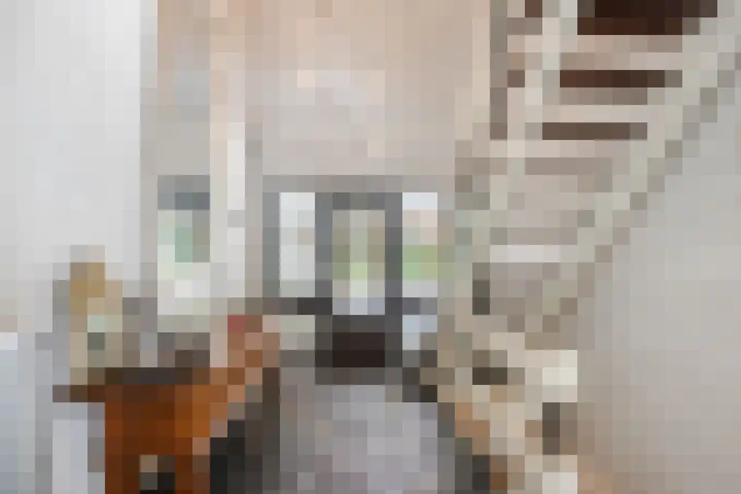 Oude Elburgerweg 1 Epe thumbnail 20