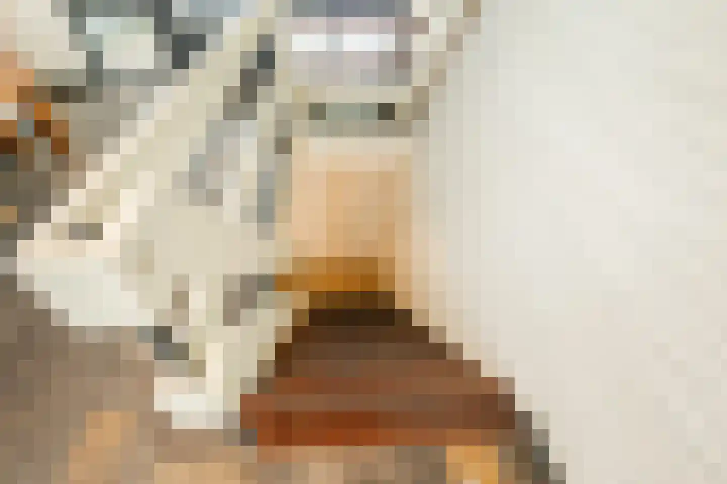 Oude Elburgerweg 1 Epe thumbnail 21