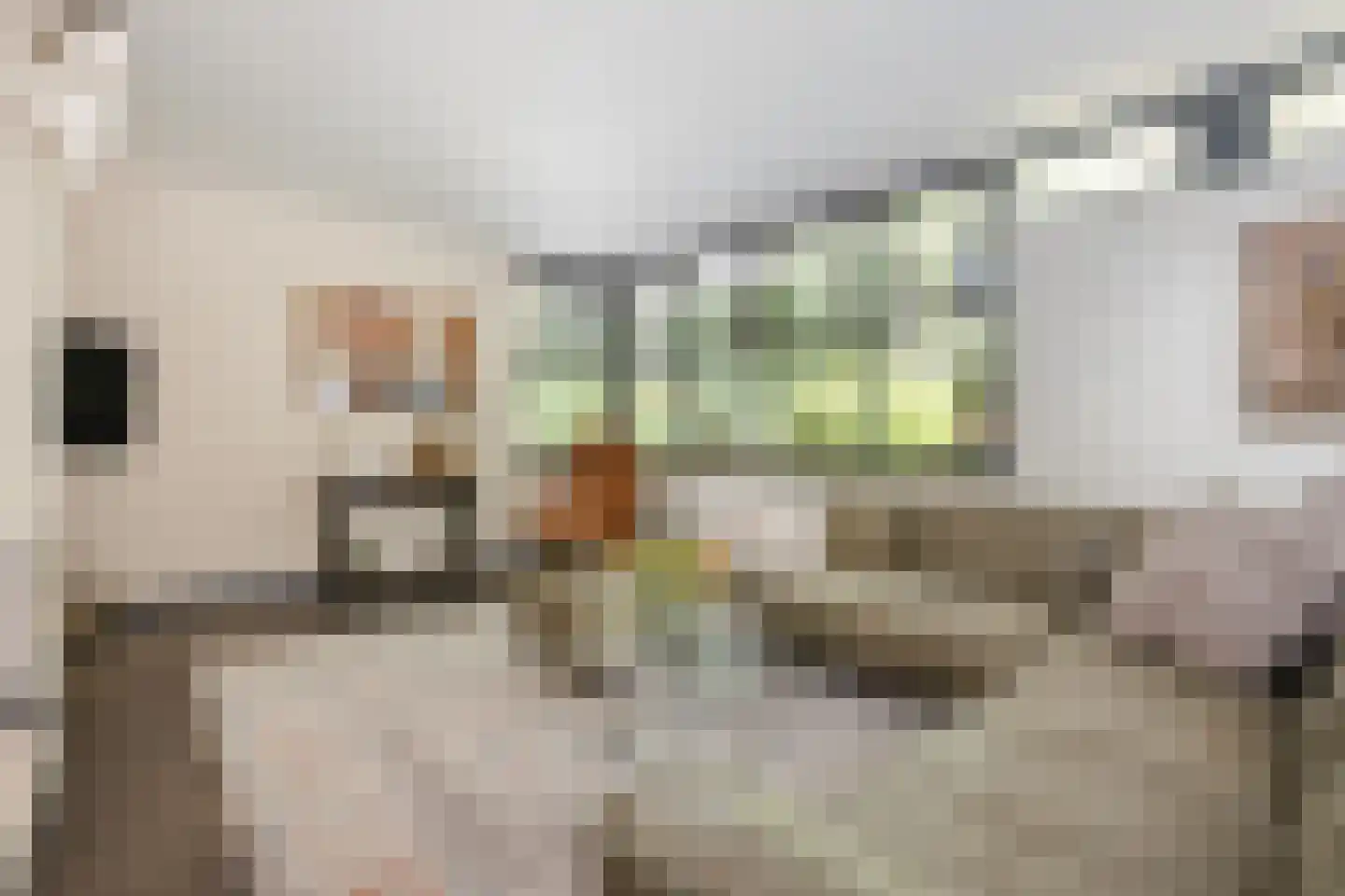 Oude Elburgerweg 1 Epe thumbnail 25