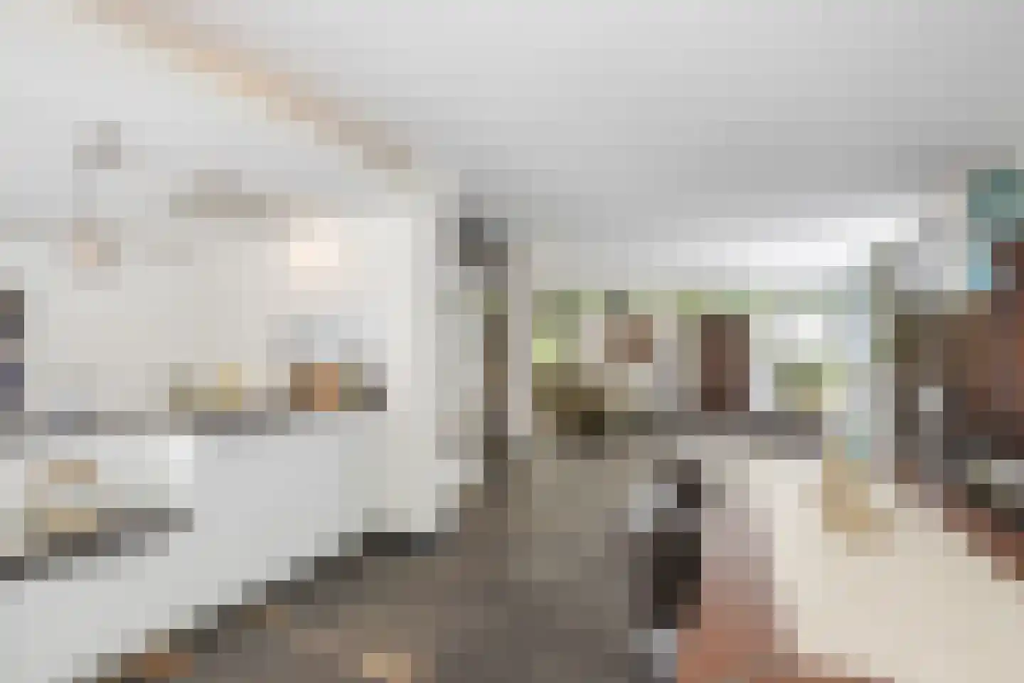 Oude Elburgerweg 1 Epe thumbnail 32