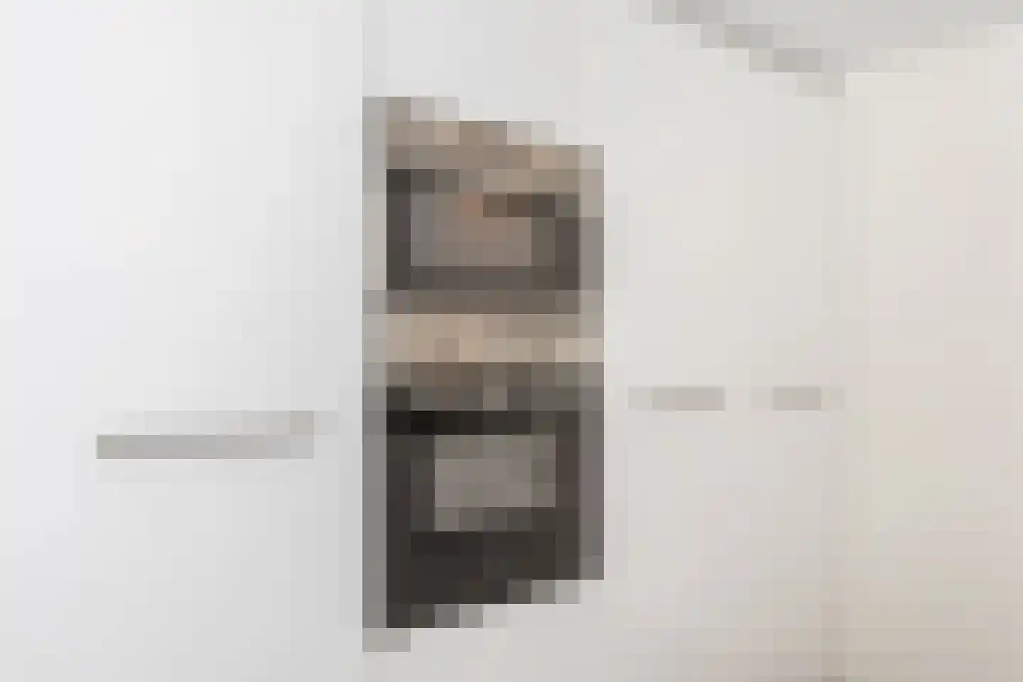Oude Elburgerweg 1 Epe thumbnail 37