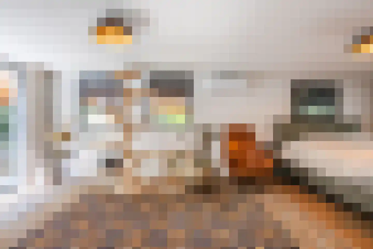 Oude Elburgerweg 1 Epe thumbnail 44
