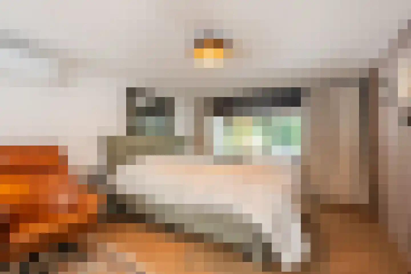 Oude Elburgerweg 1 Epe thumbnail 45