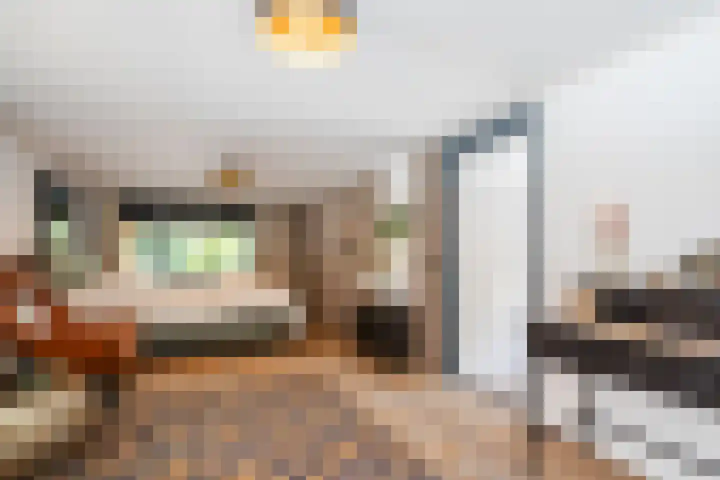 Oude Elburgerweg 1 Epe thumbnail 48