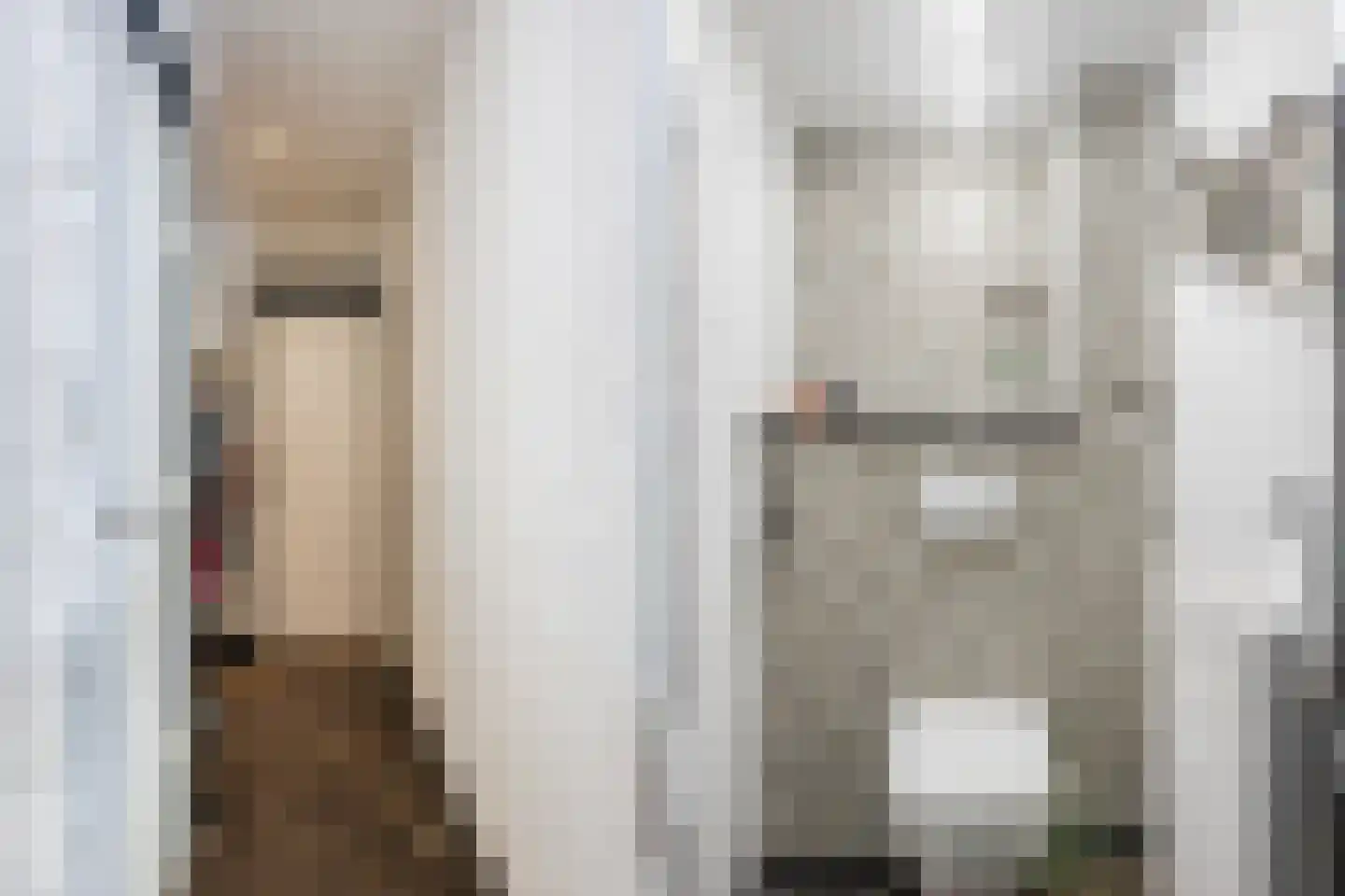 Oude Elburgerweg 1 Epe thumbnail 49