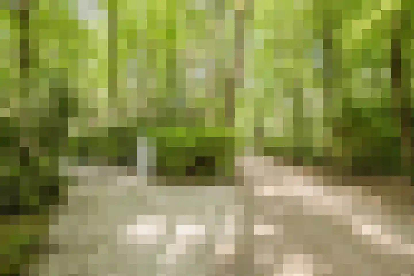 Oude Elburgerweg 1 Epe thumbnail 5