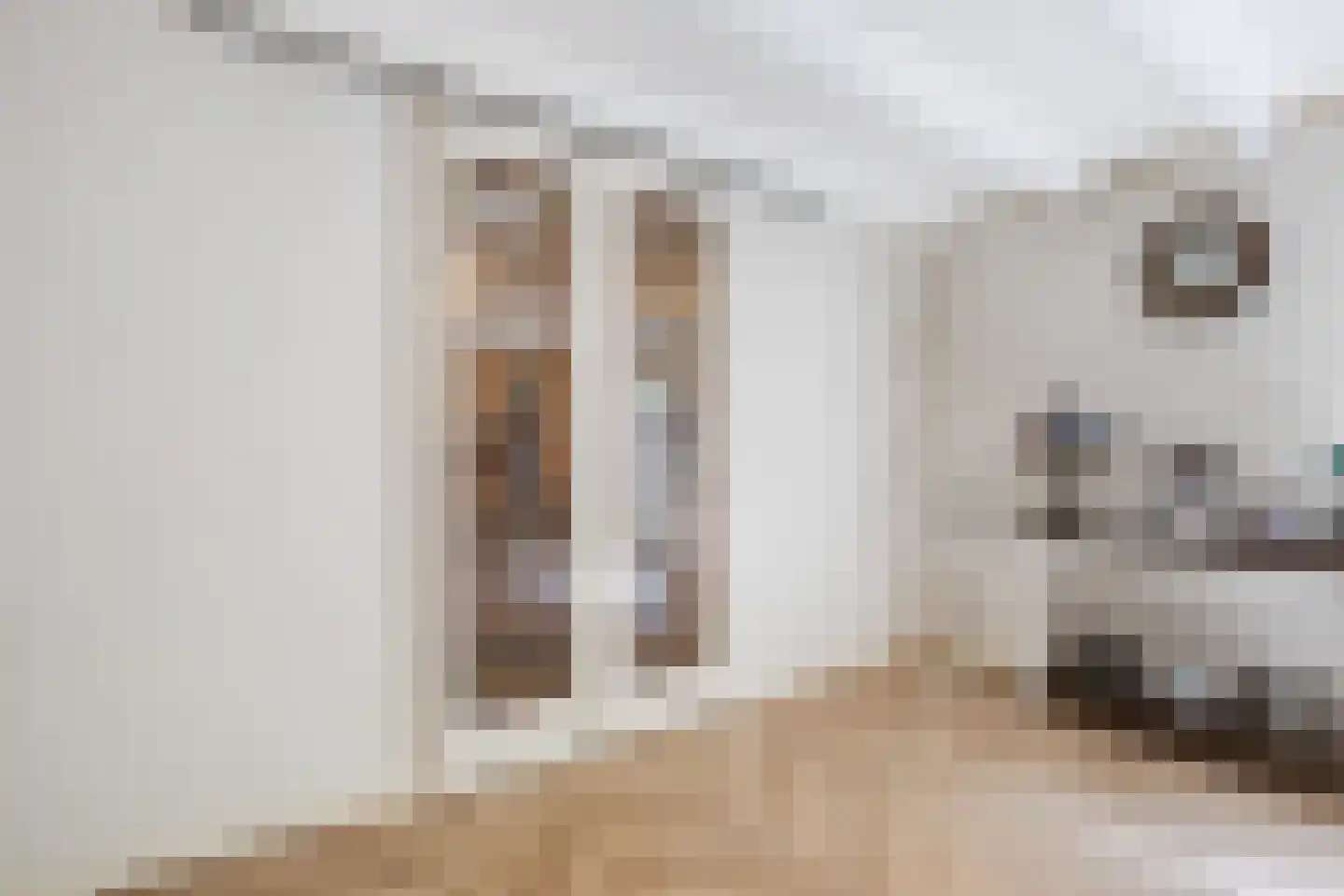 Oude Elburgerweg 1 Epe thumbnail 60