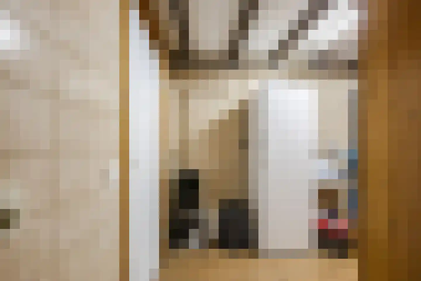 Oude Elburgerweg 1 Epe thumbnail 61