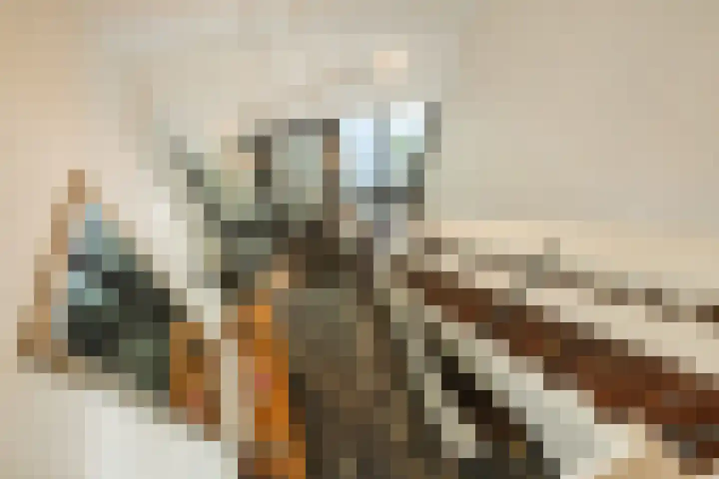 Oude Elburgerweg 1 Epe thumbnail 64