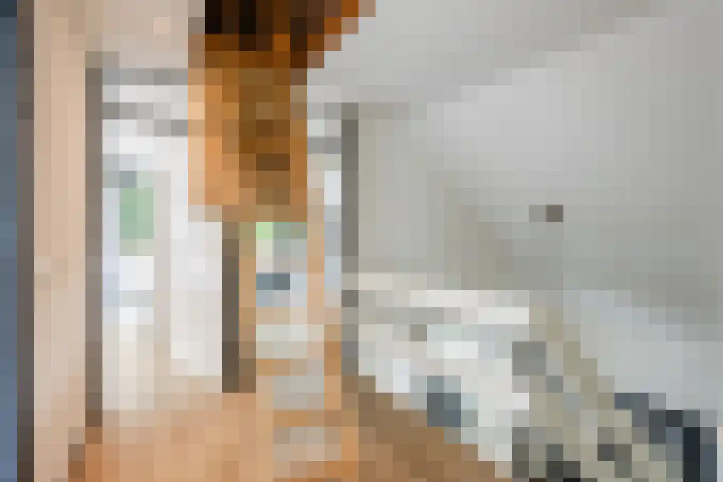 Oude Elburgerweg 1 Epe thumbnail 67
