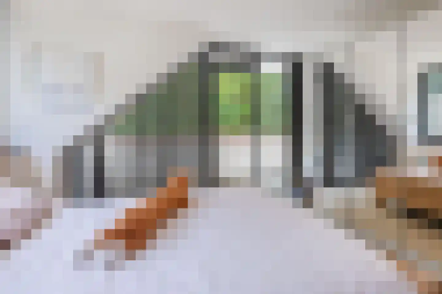 Oude Elburgerweg 1 Epe thumbnail 69
