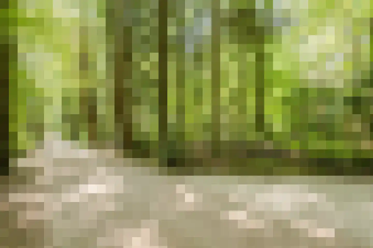 Oude Elburgerweg 1 Epe thumbnail 7