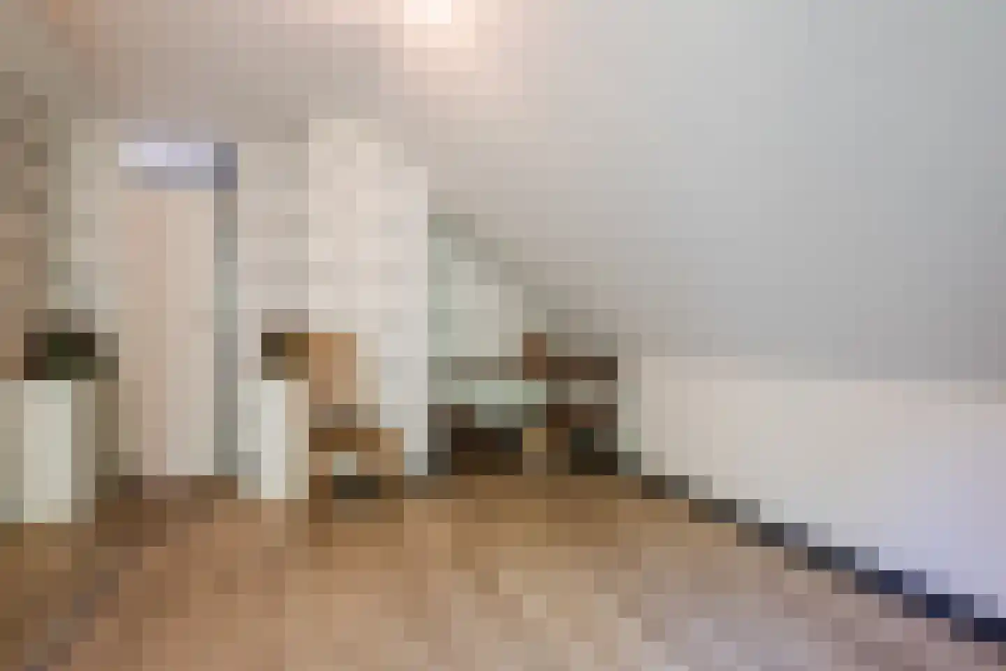 Oude Elburgerweg 1 Epe thumbnail 79