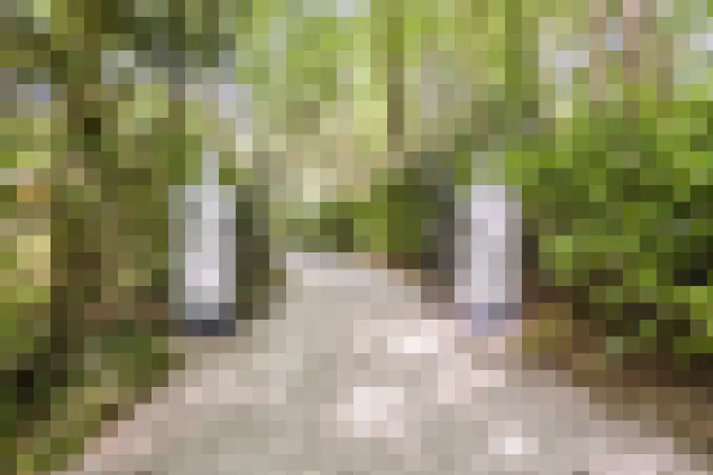 Oude Elburgerweg 1 Epe thumbnail 8