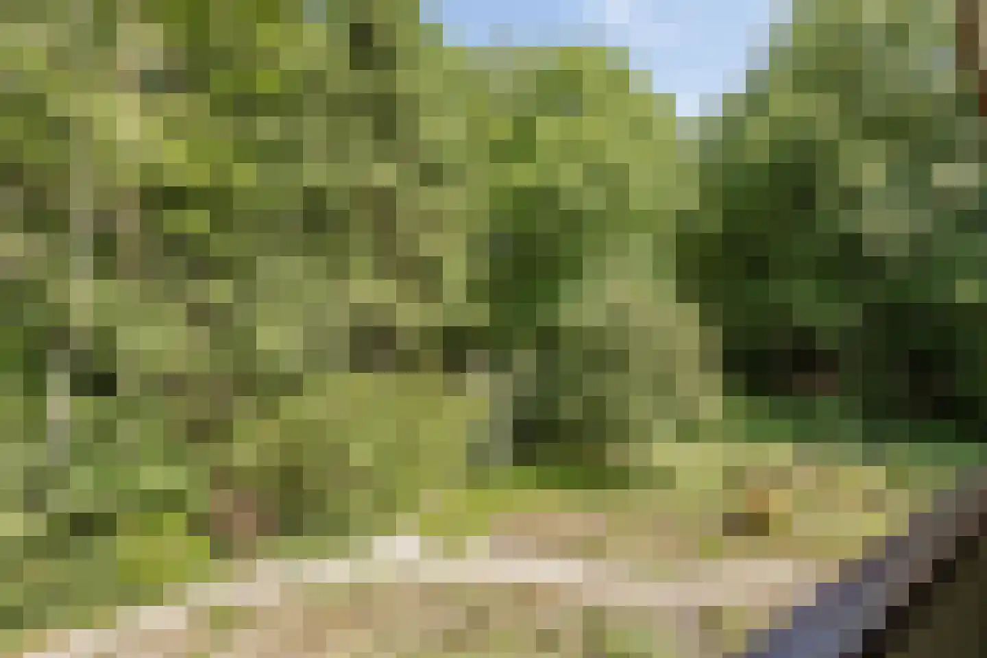 Oude Elburgerweg 1 Epe thumbnail 84