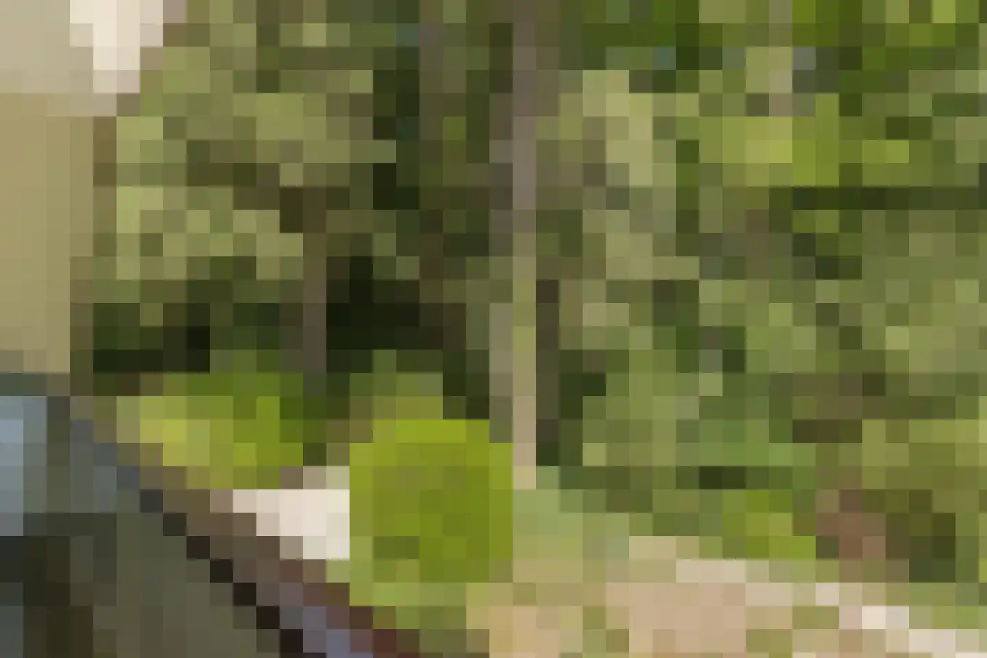Oude Elburgerweg 1 Epe thumbnail 85
