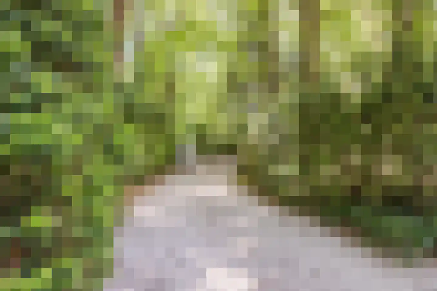 Oude Elburgerweg 1 Epe thumbnail 9