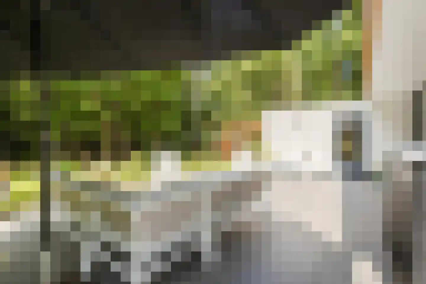 Oude Elburgerweg 1 Epe thumbnail 91