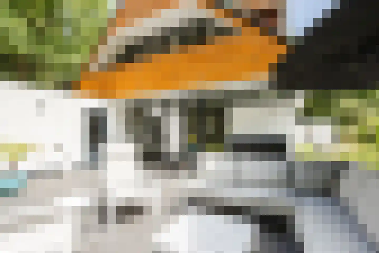 Oude Elburgerweg 1 Epe thumbnail 94