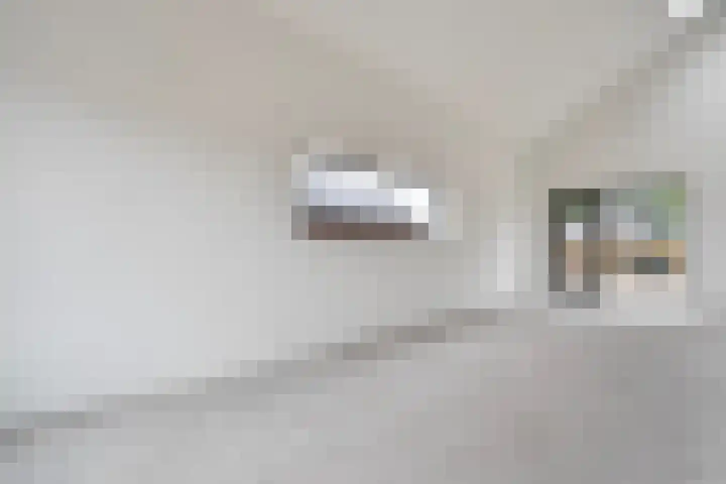 Oude Elburgerweg 4 Hattemerbroek thumbnail 12