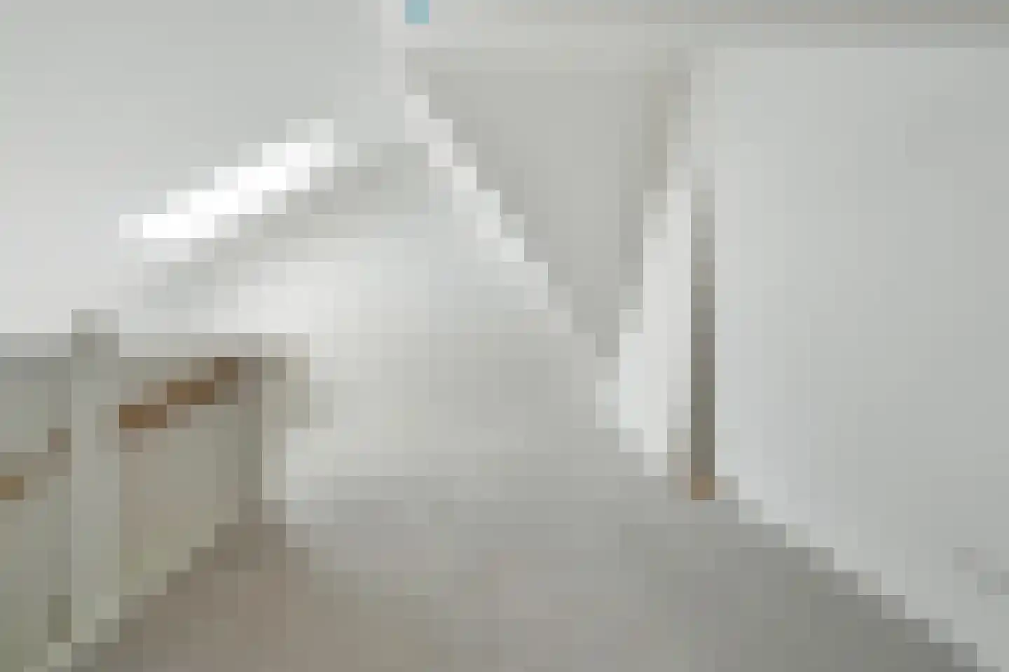 Oude Elburgerweg 4 Hattemerbroek thumbnail 19