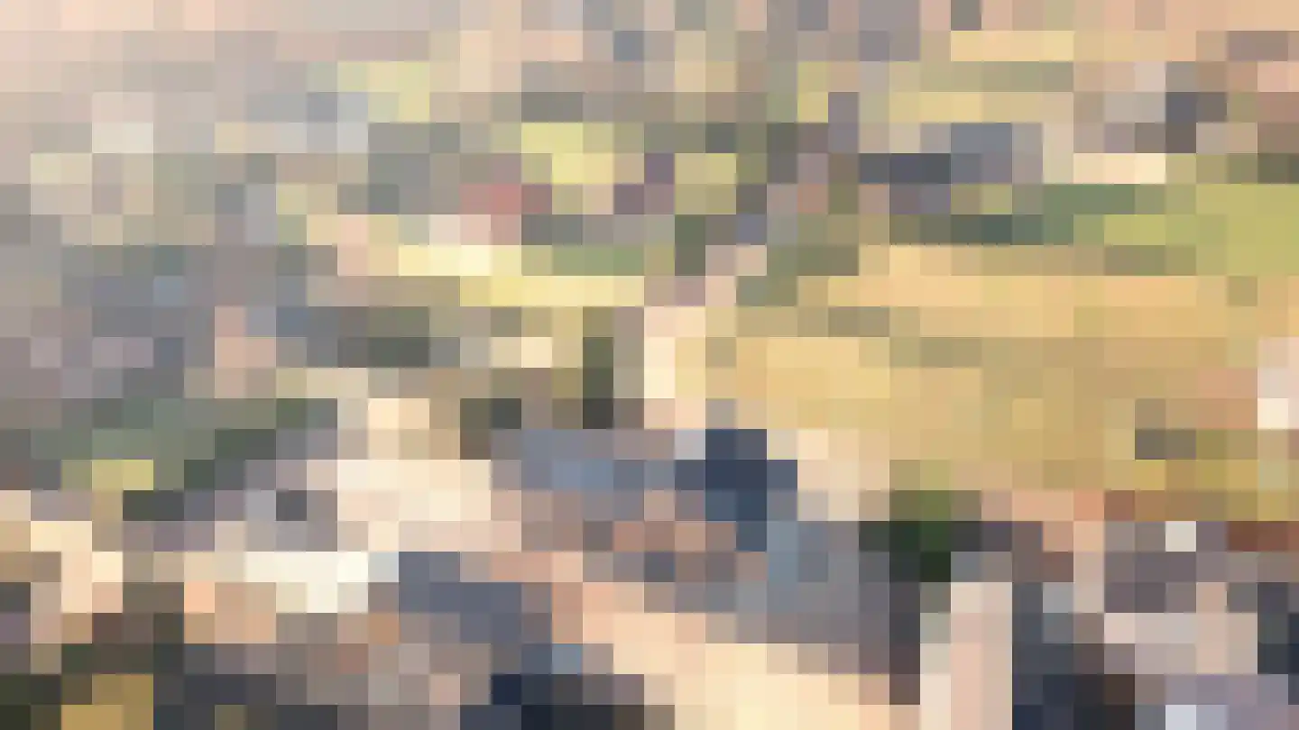 Oude Elburgerweg 4 Hattemerbroek thumbnail 33