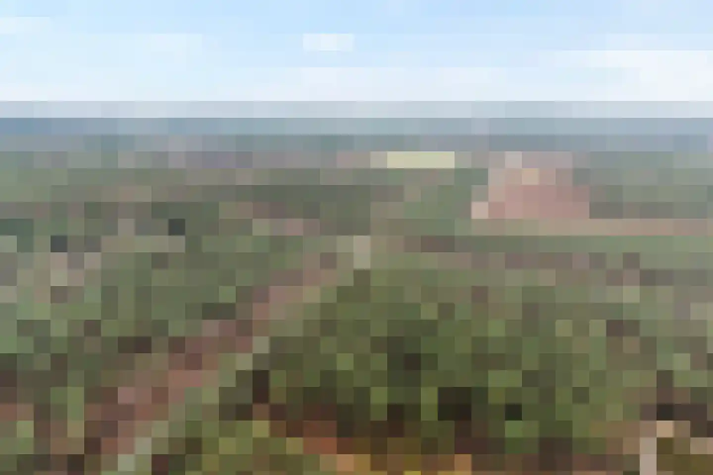 Oude Elburgerweg 4 Hattemerbroek thumbnail 36