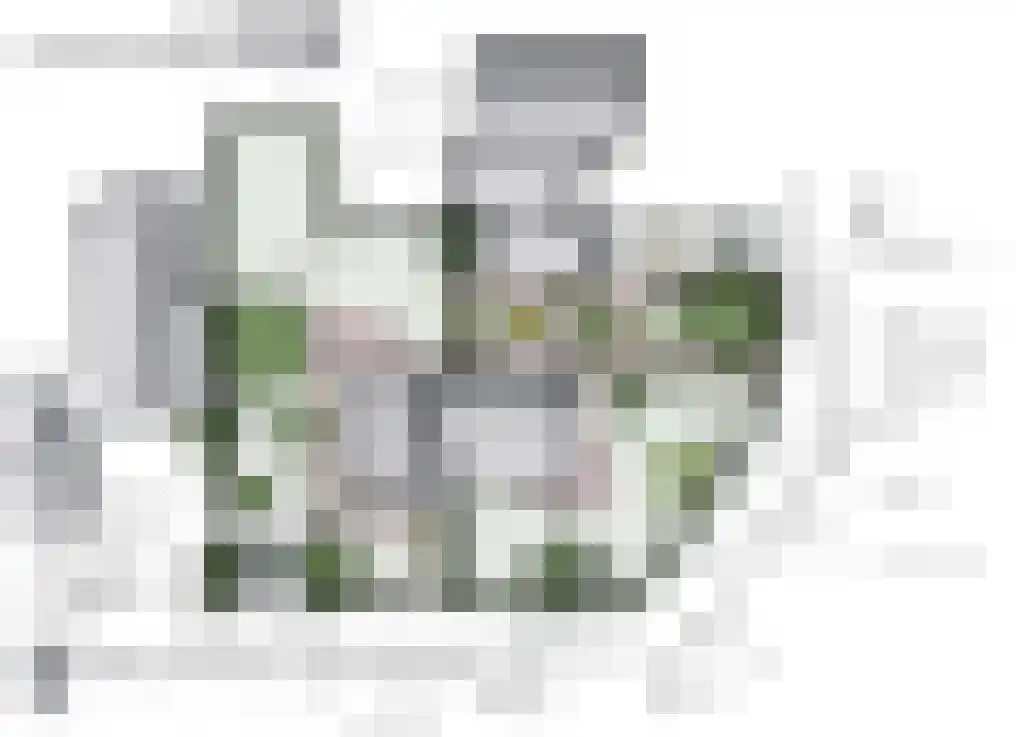 Oude Elburgerweg 4 Hattemerbroek thumbnail 37