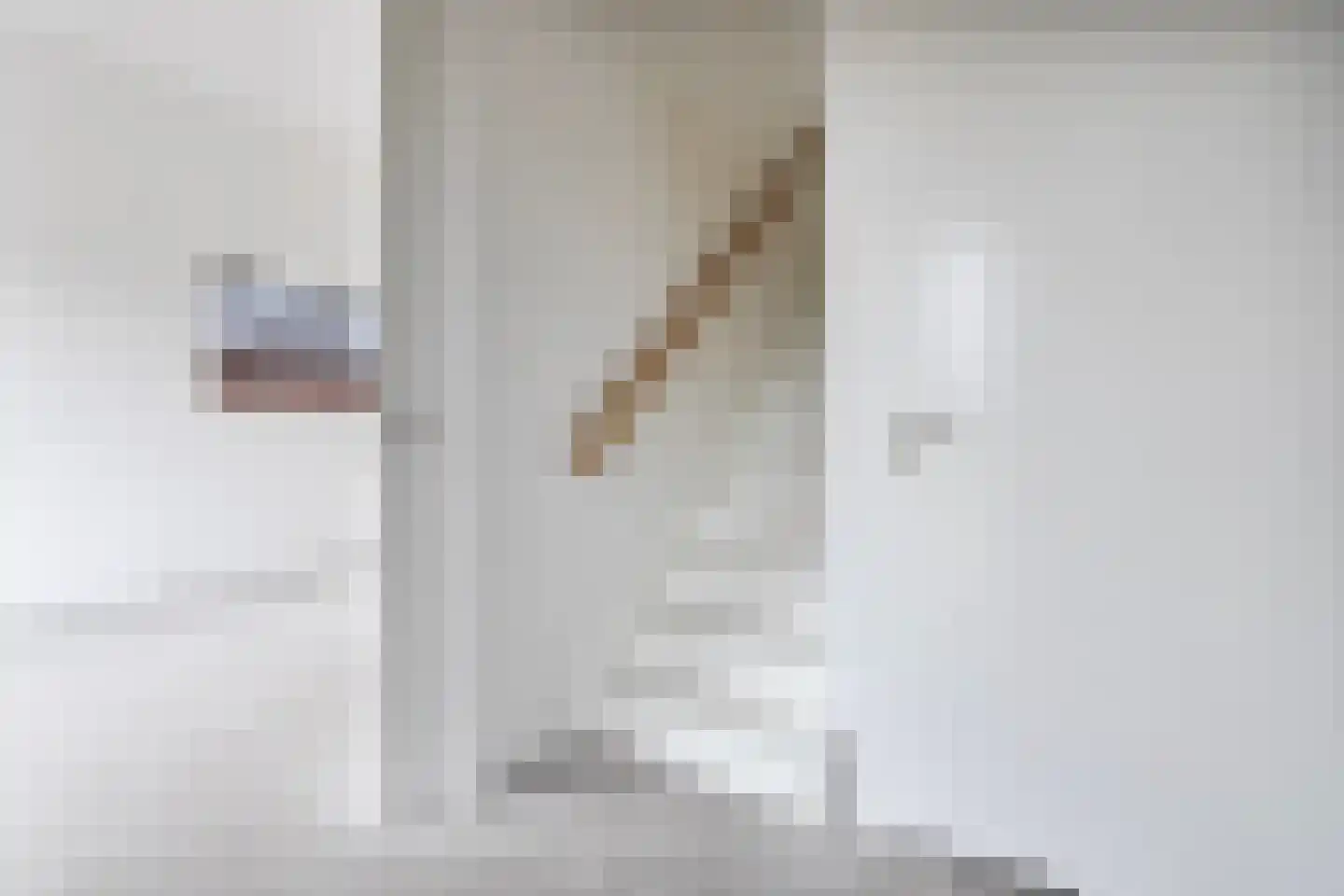 Oude Elburgerweg 4 Hattemerbroek thumbnail 4